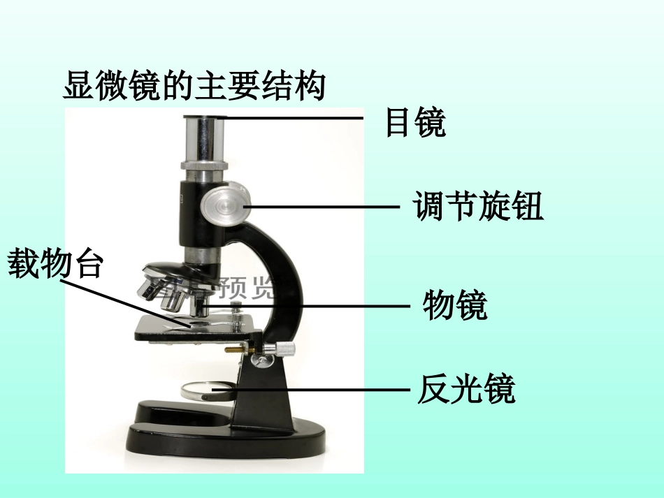 用显微镜观察身边的生命世界(二)_第1页