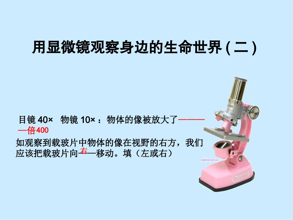 用显微镜观察身边的生命世界(二)_第3页