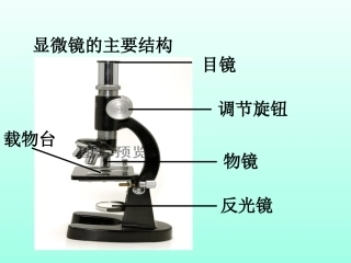用显微镜观察身边的生命世界(二)