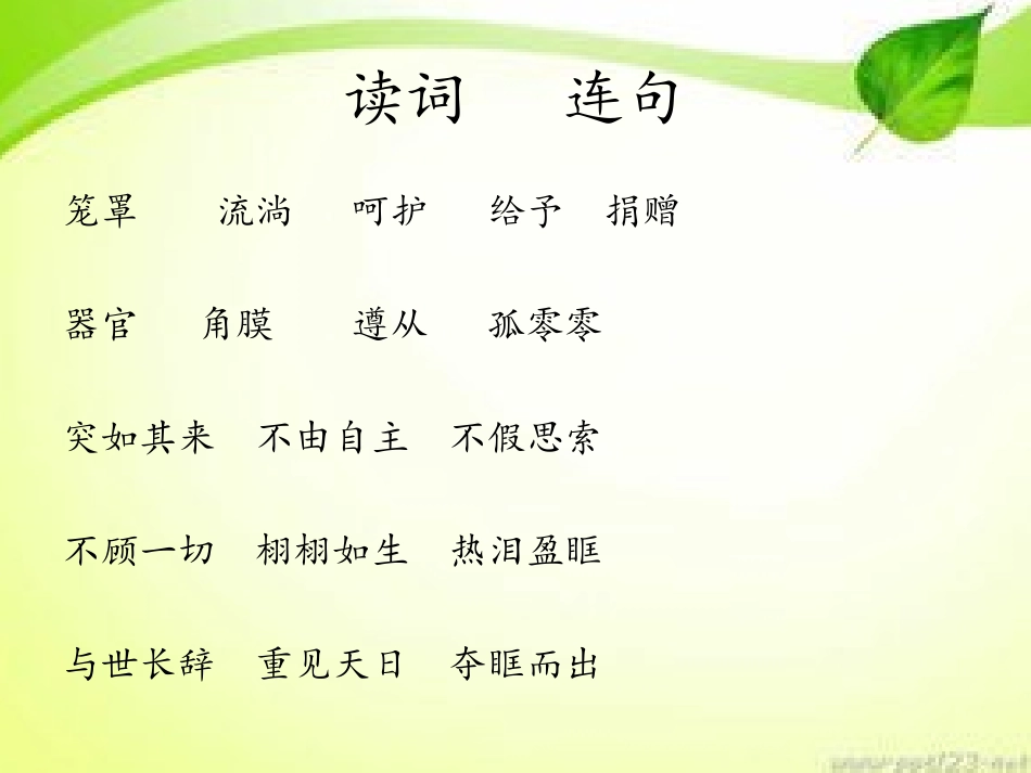 《永生的眼睛》_第2页