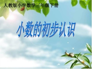 小数的初步认识