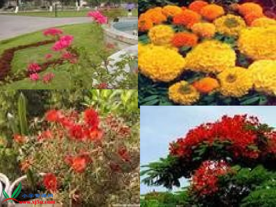 七色花PPT_第3页