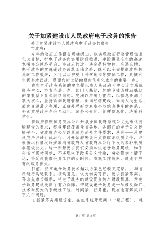 关于加紧建设市人民政府电子政务的报告