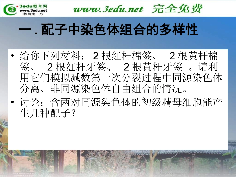 -减数分裂和受精作用_第2页