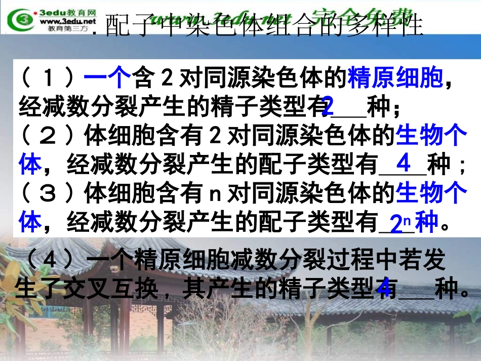 -减数分裂和受精作用_第3页