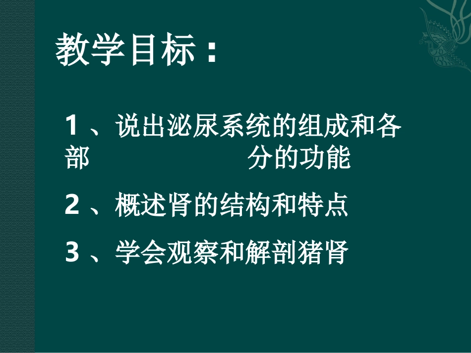 生物：苏教版七年级下-111-人体泌尿系统的组成(课件)_第2页