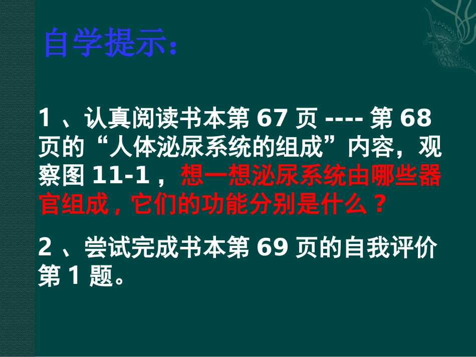 生物：苏教版七年级下-111-人体泌尿系统的组成(课件)_第3页