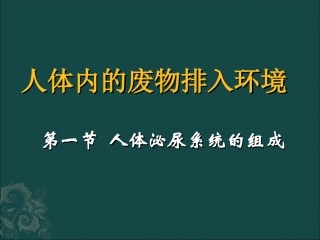 生物：苏教版七年级下-111-人体泌尿系统的组成(课件)