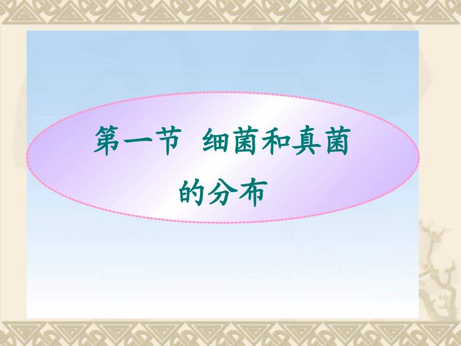 第一节细菌和真菌的分布PPT_第1页