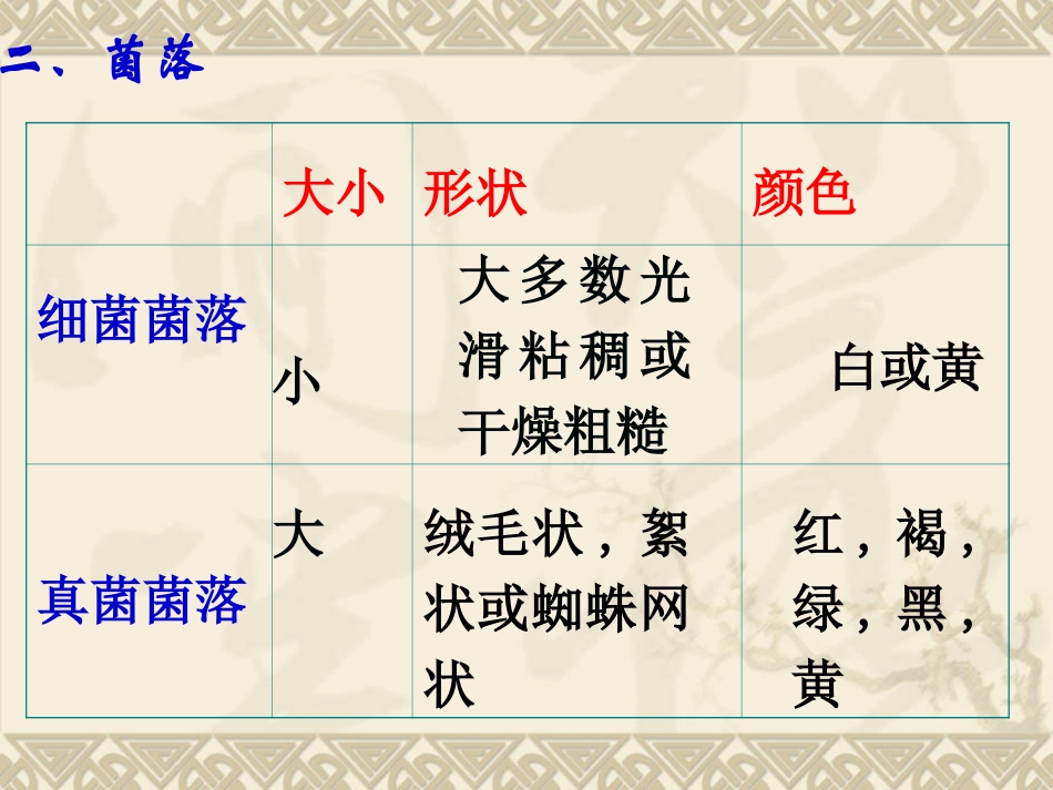 第一节细菌和真菌的分布PPT_第3页