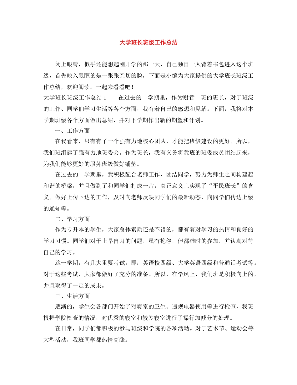 大学班长班级工作总结 _第1页
