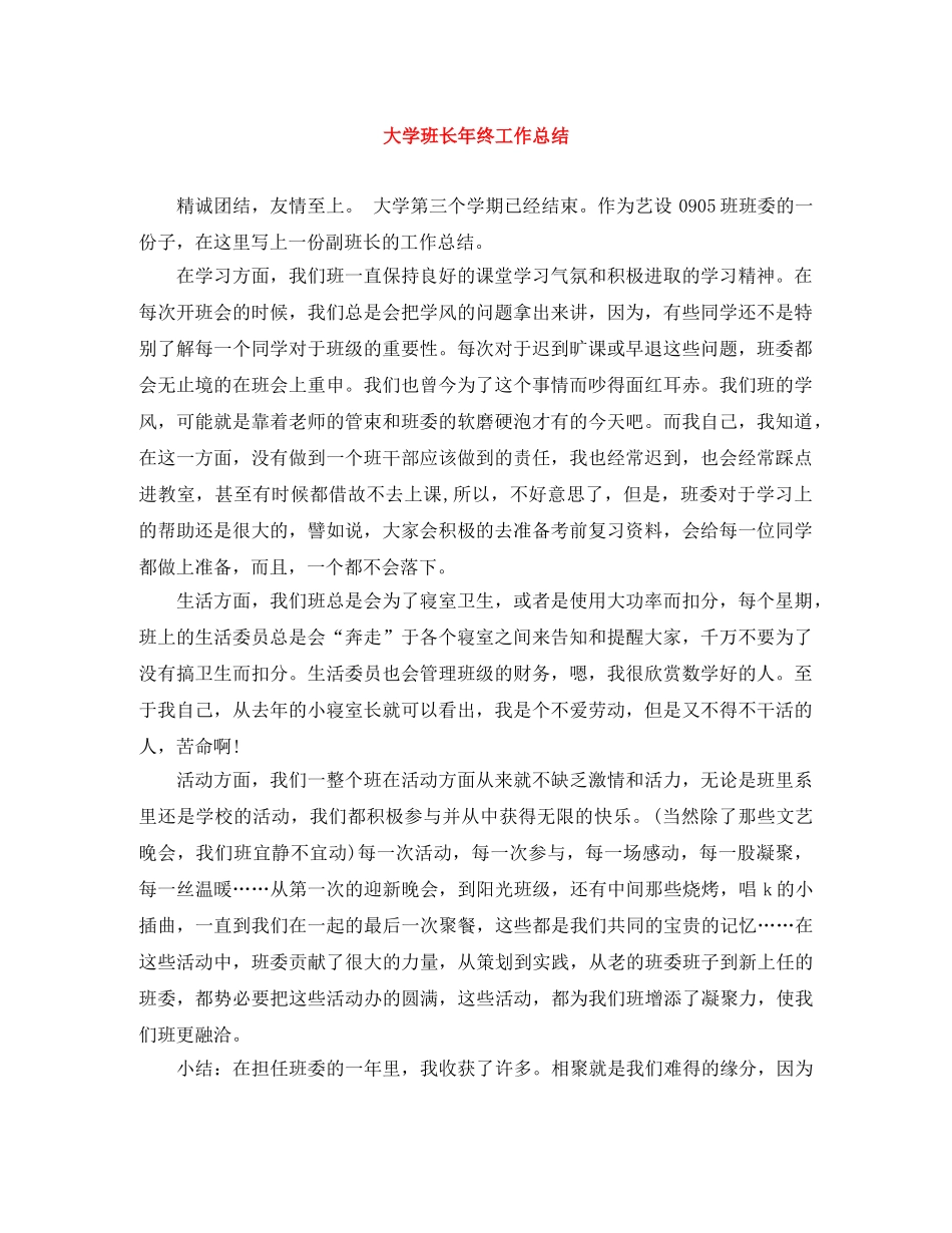 大学班长年终工作总结 _第1页