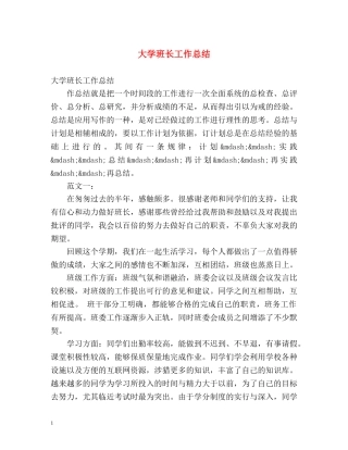 大学班长工作总结 