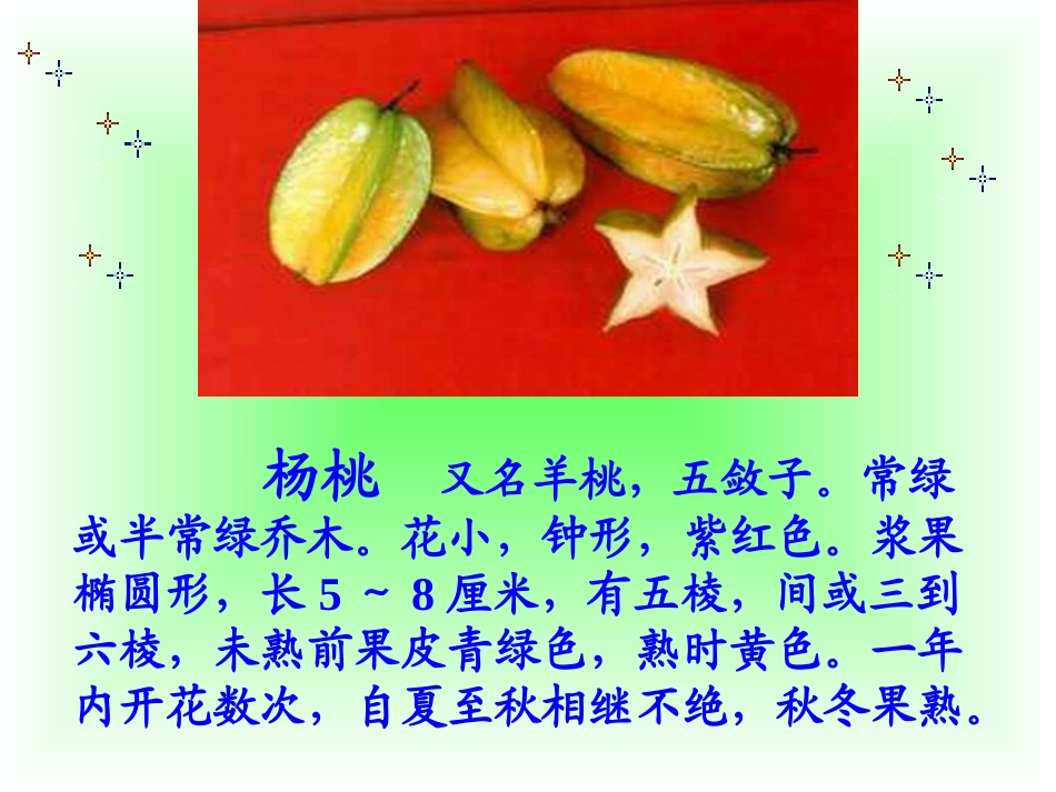 _11画杨桃_第2页