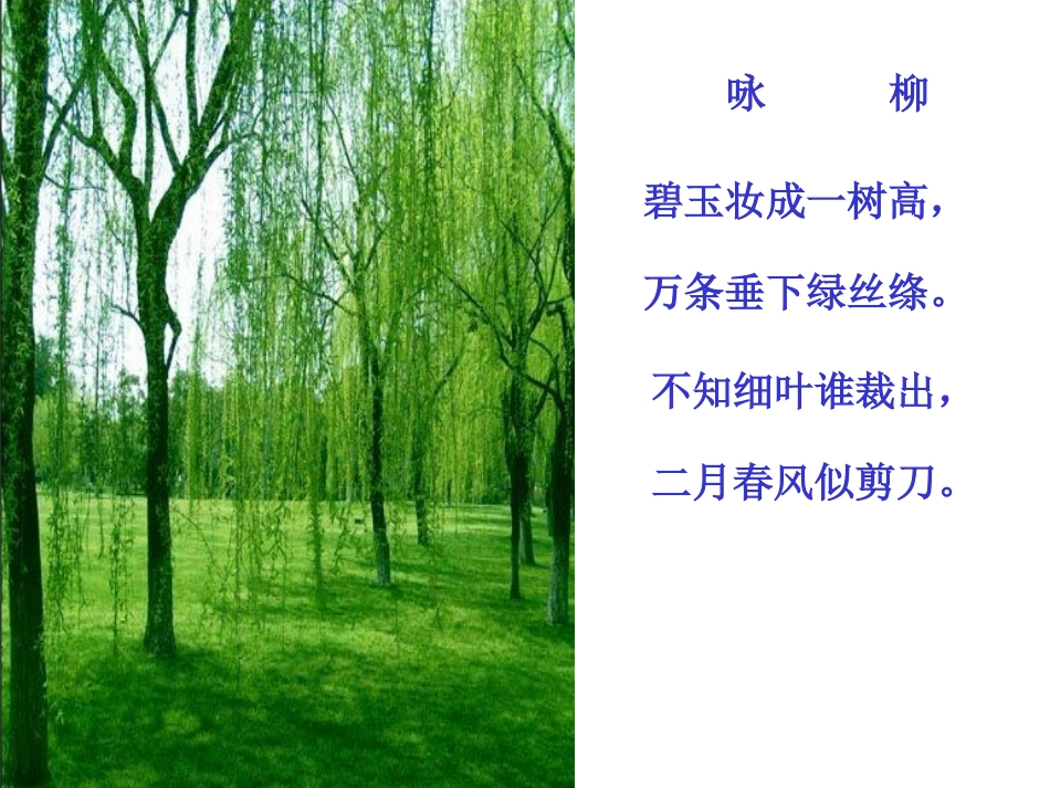 《咏柳》课件 (2)_第1页