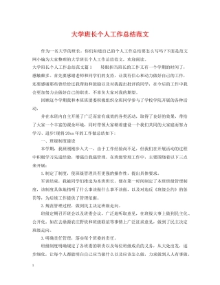 大学班长个人工作总结范文2 