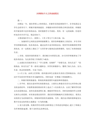 大学班长个人工作总结范文 