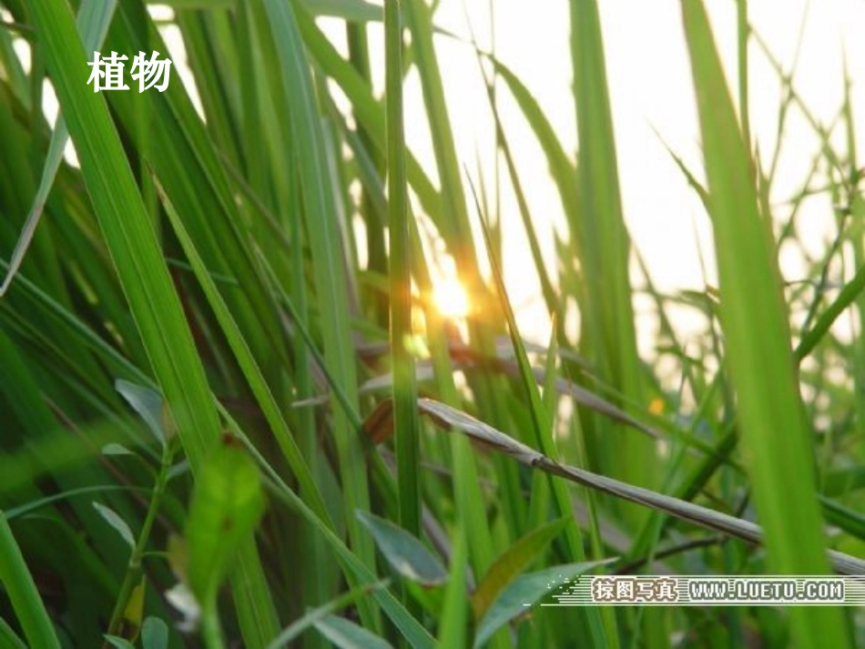 太阳、月球与地球的关系_第3页