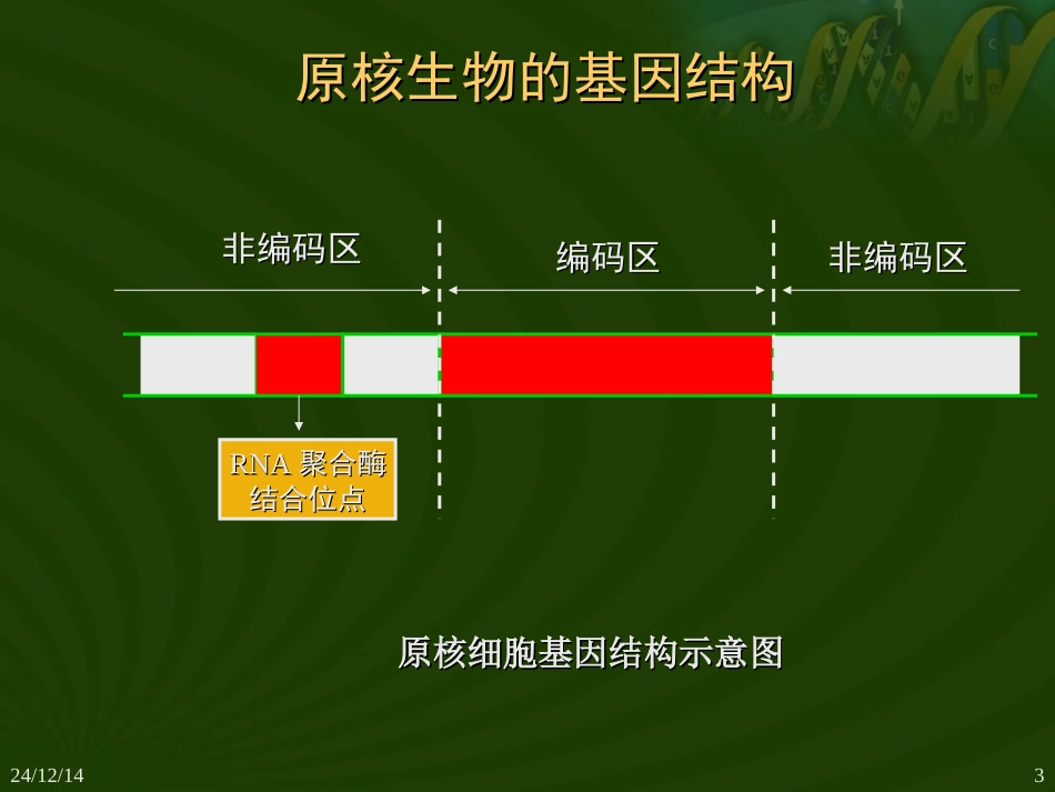 基因结构研究的历史_第3页