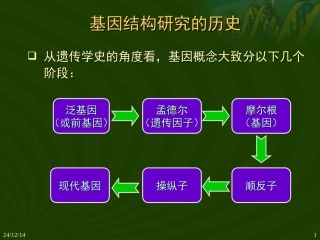 基因结构研究的历史
