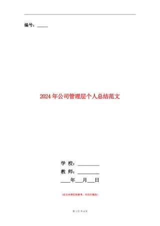 2024年公司管理层个人总结范文
