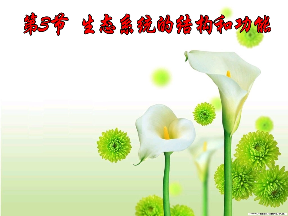 -生态系统的结构和功能_第1页