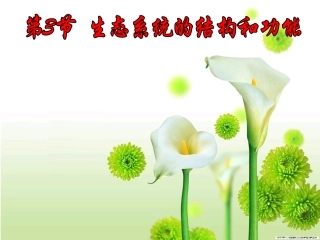 -生态系统的结构和功能