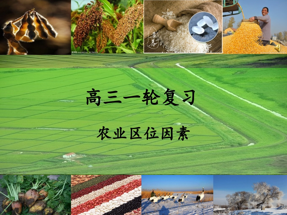 农业区位条件（修改稿）OK_第1页