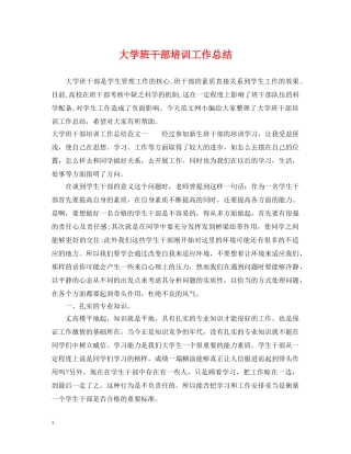 大学班干部培训工作总结 