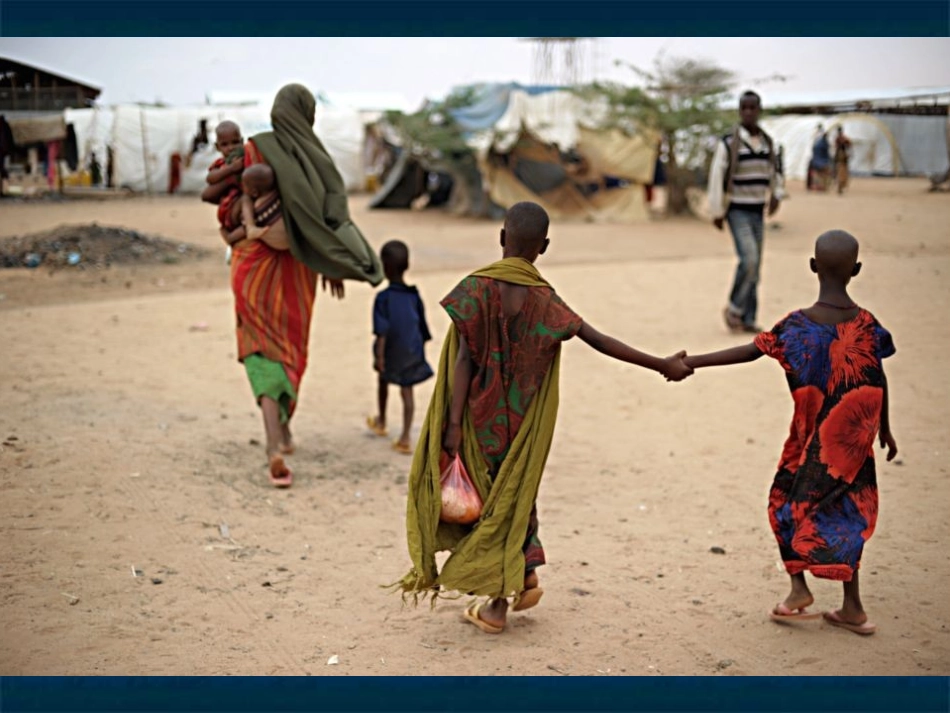 第一节食物中的营养物质_第1页