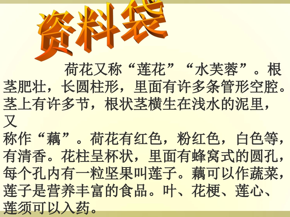 《荷花》课件4_第2页
