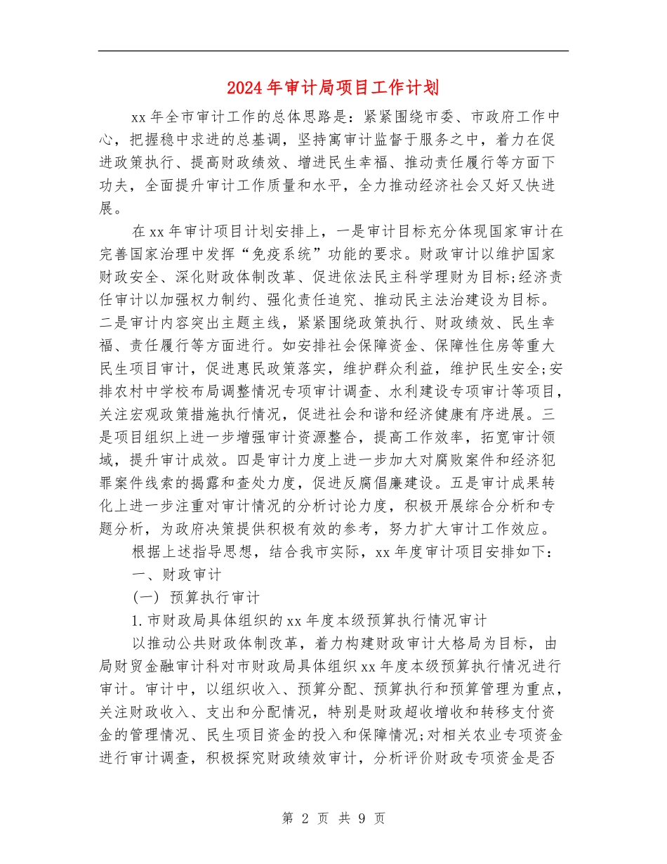 2024年审计局项目工作计划_第2页