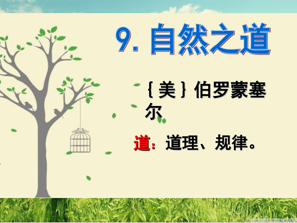自然之道 ()_第1页