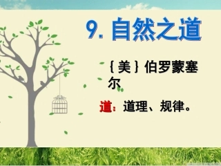 自然之道 ()