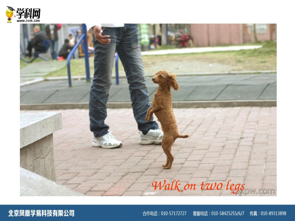 课件Unit5period2_第2页