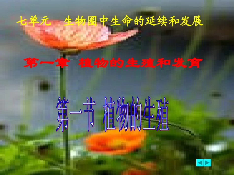 人教版八下第七单元第一章第一节植物的生殖（共34张PPT）_第1页