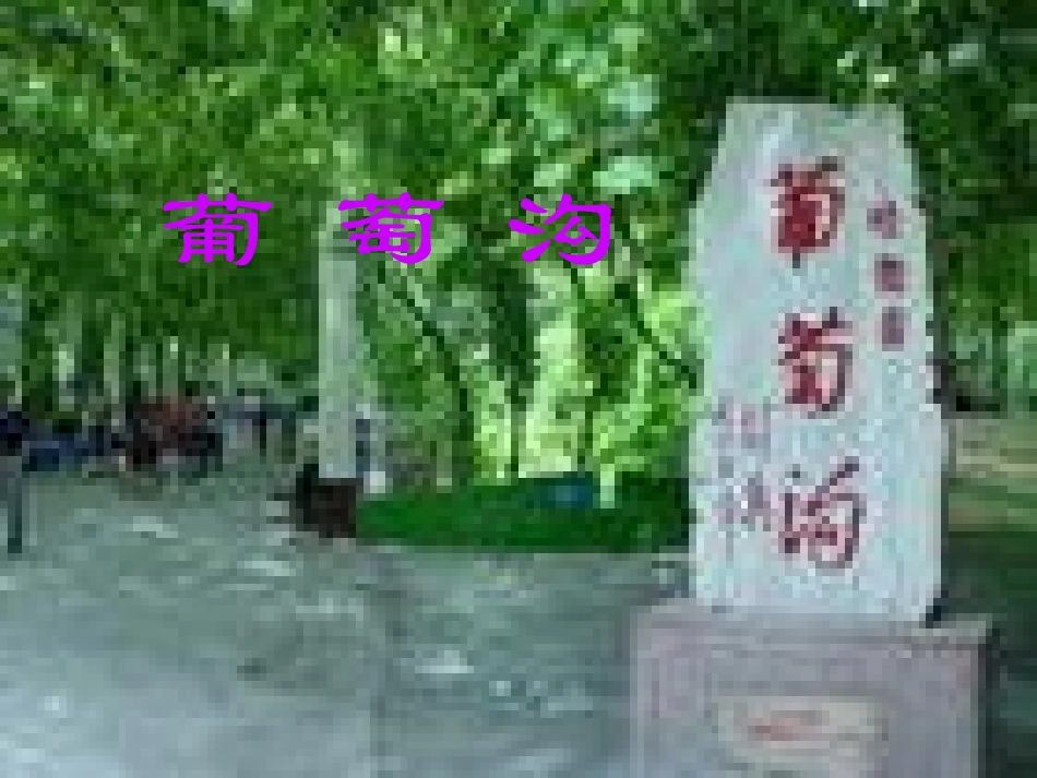葡萄沟课件2_第1页