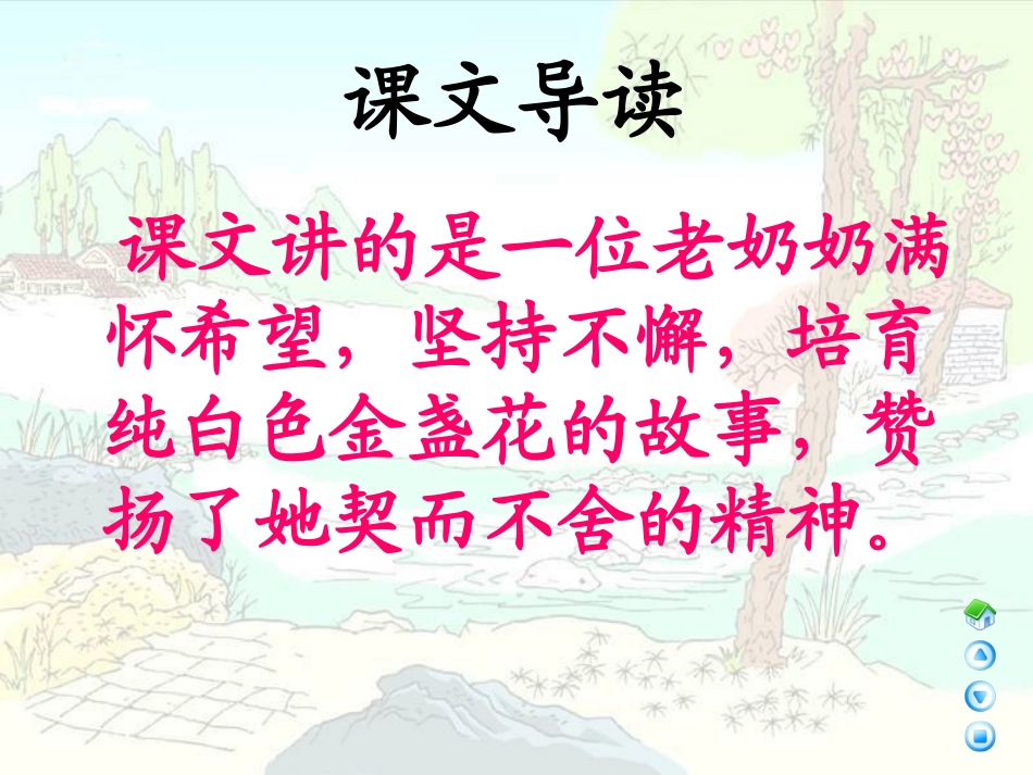 （语文A版）希望的种子1_第3页