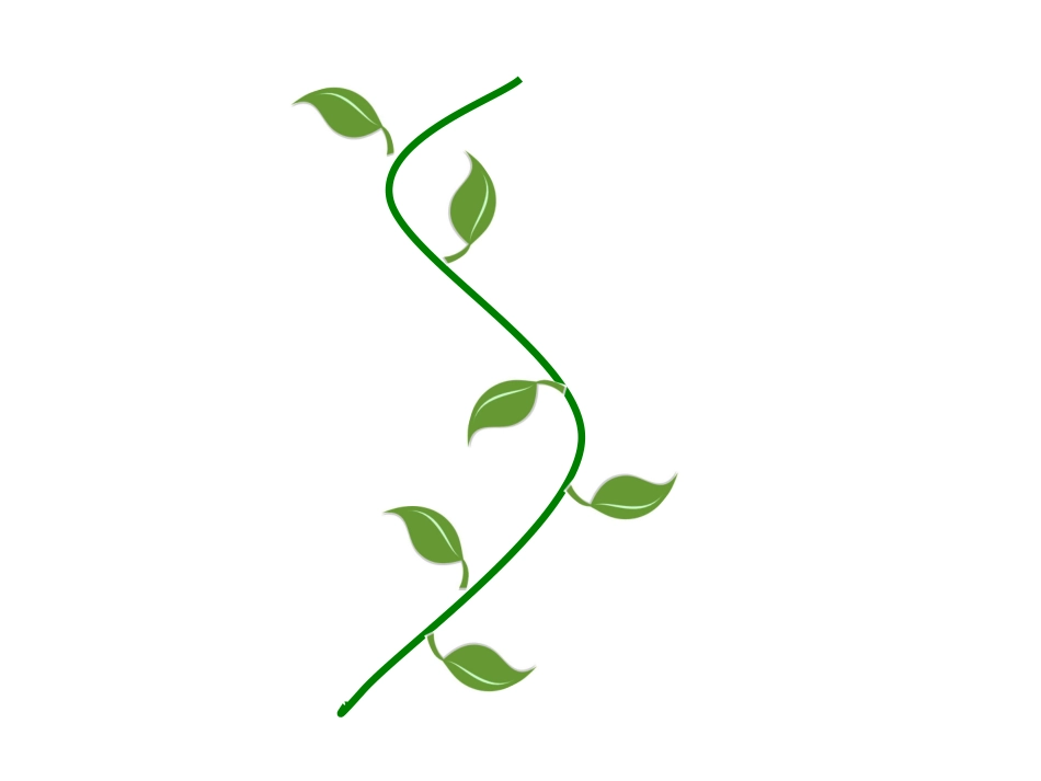 植物生长动态图_第2页