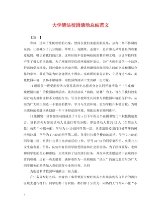 大学清洁校园活动总结范文 