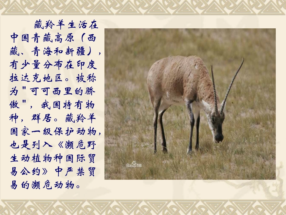 八年级生物上册第三章《动物在生物圈中的作用》课件_第2页