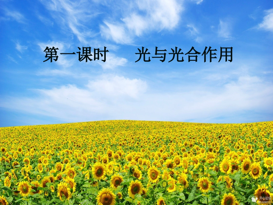 光合作用（第一课时）_第1页