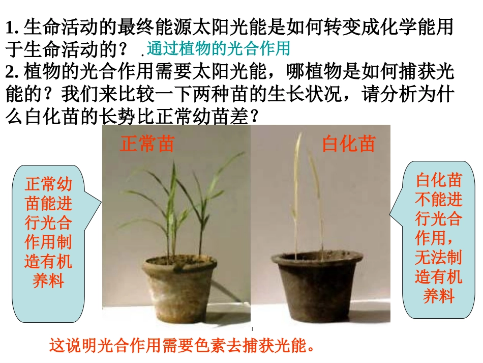 光合作用（第一课时）_第2页