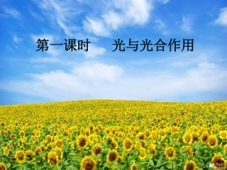光合作用（第一课时）