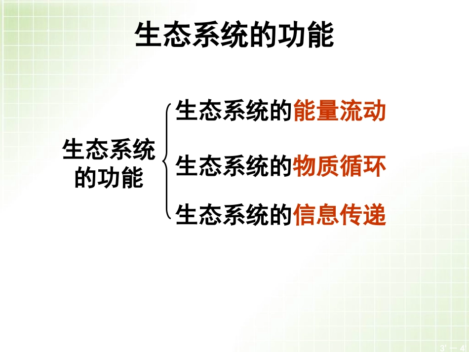 生态系统能量流动_第2页