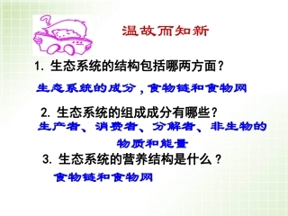 生态系统能量流动