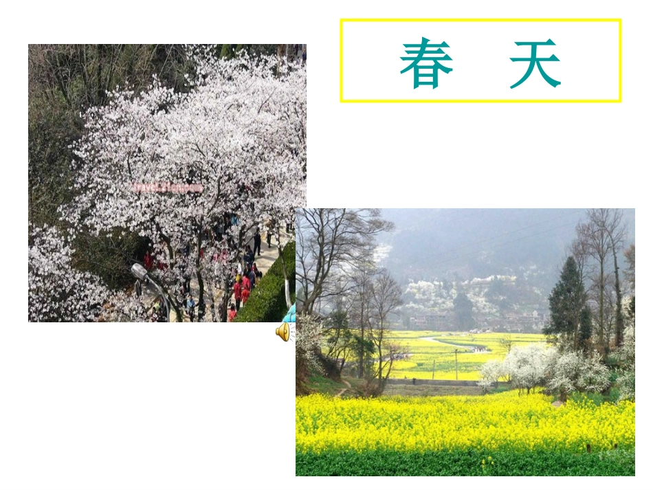 《油菜花开了》课件_第2页