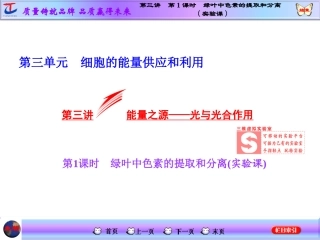 第三讲第1课时绿叶中色素的提取和分离