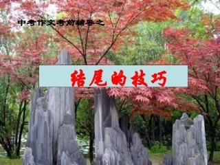 2011年中考语文作文指导复习课件9