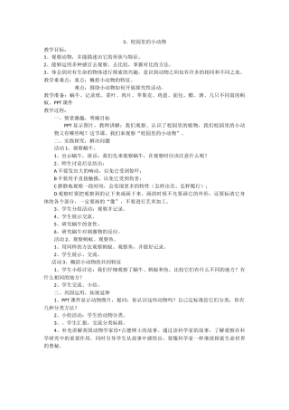 校园里的小动物